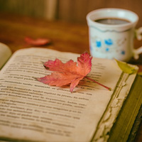 Buch mit Blatt und Kaffee